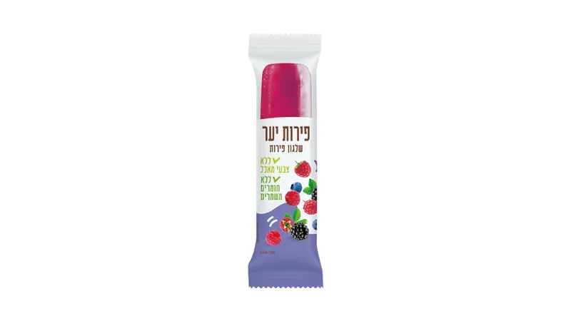 שלגוגו | שלגון פרי טבעי פירות יער - ריאו בעיר