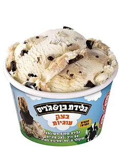 גלידת בן &ג׳ריס אישית | בצק עוגיות - ריאו בעיר