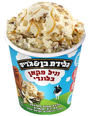 גלידת בן &ג׳ריס | וניל פקאן בלונדי - ריאו בעיר