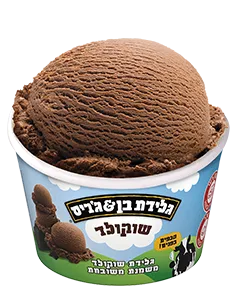 גלידת בן&ג׳ריס | שוקולד - ריאו בעיר